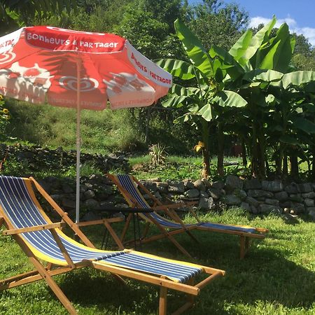 La Auarje: Appartement Avec Jardin & Terrasse Cierp 외부 사진